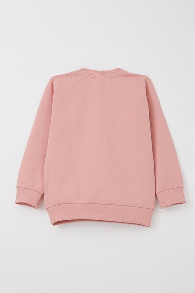 Breeze 9-3 Years Baby Girl Tracksuit Set - Cute, Embroidered Floral Print and Dried Rose