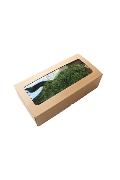 trendbahce Yeşil Şoklanmış Flatmoss Kara Yosunu 500 gr