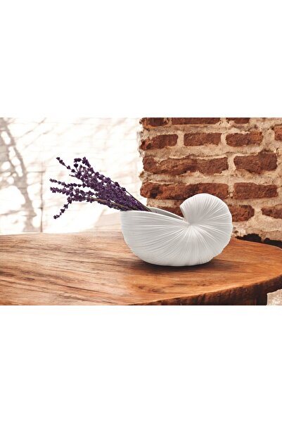 BASSDEKOR Beton - Vasă de melc - Cremă