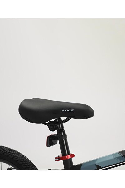 Fab N Funky PF Kids Bicycle, Rear Caliper Brakes, Easy Saddle Height Adjustment, Grey - 20 Inches