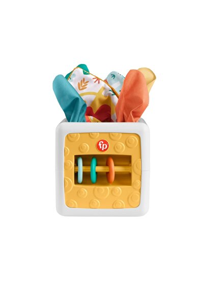 FISHER PRICE CUB CU ACTIVITATI