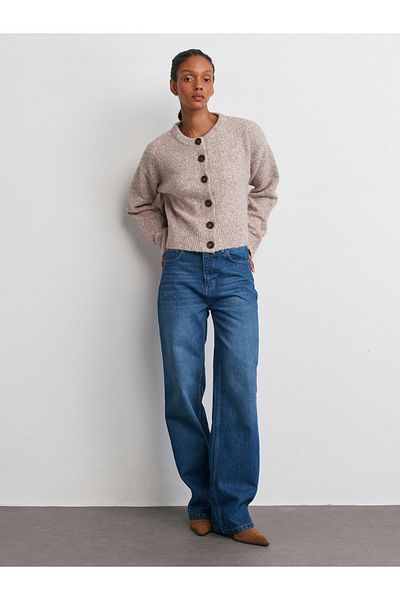 Dilvin 71749 Pantaloni Borupaça cu auto-tintare-albastru