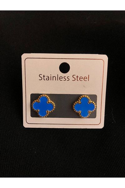 Cheecky Chic Gold Blue Colored 316L Steel Earrings