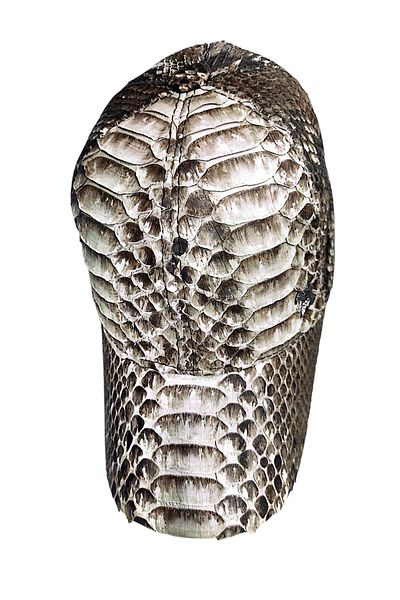 green norths Γνήσιο καπέλο από δέρμα Python
