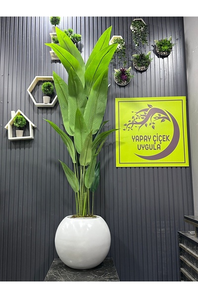 İremÇiçekçilik Yapay Çiçek Uygula Salon Cicegi 20 Yaprak 180 Cm Starlice