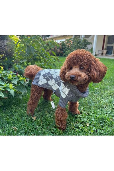 MİNİŞ PET BUTİK Mini Gray Small Dog Sweater with Baklava