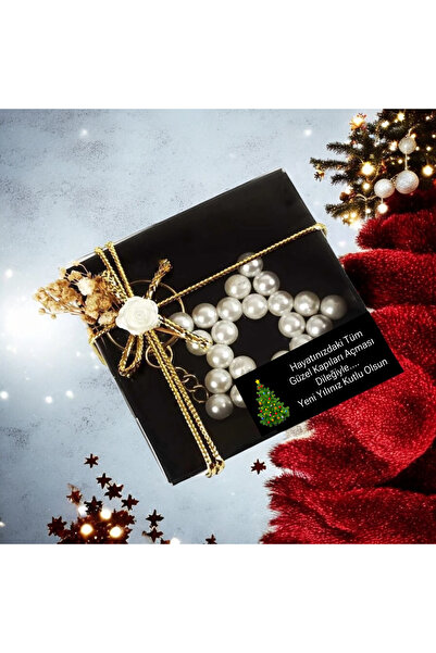 Nilgün Baymış Neva Konsept Hediyelik Yılbaşı -Yeni Yıl Hediyesi 5 Adet inci yıldız siyah kutulu anahtarlık