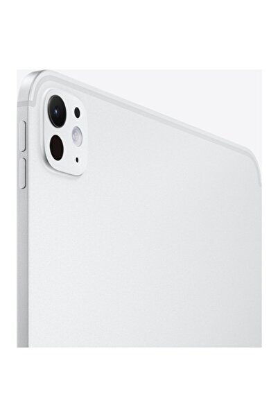 Apple 11" iPad Pro WiFi 256GB Standard Cam - Gümüş