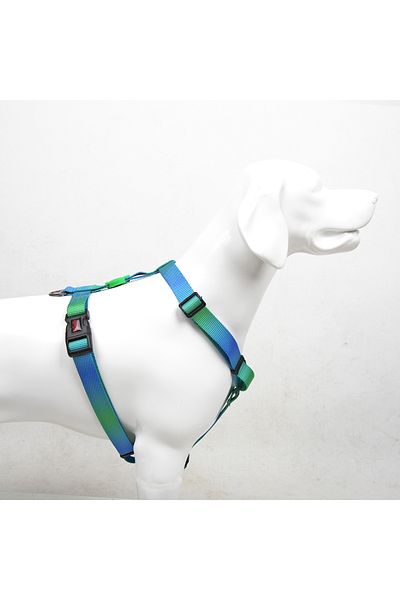 Tailpetz Amazon H-tipi Göğüs Tasması