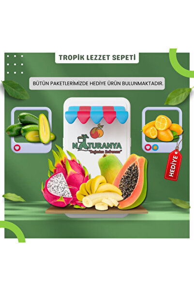 Naturanya Tropik Lezzet Sepeti - Avokado - Muz - Altın Çilek - Ejder Meyvesi ...