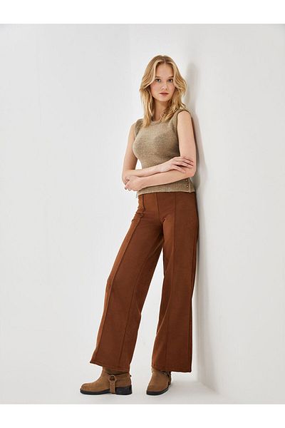 LC Waikiki LCW Women's Standard Fit Straight Trousers
