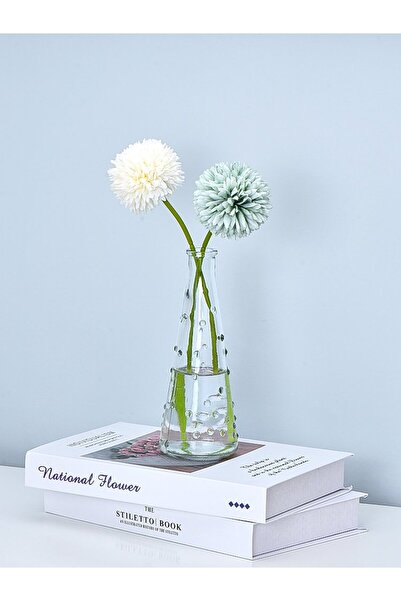 BAK GEL AL Polka Şeffaf Simple Cam Vazo – Minimalist Tasarımla Ferah Mekanlar İçin Şık Seçim