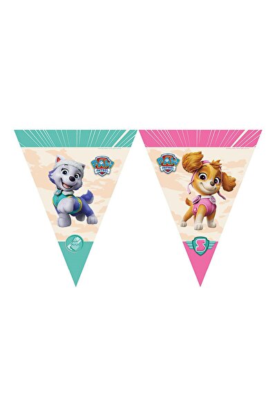 TATLI GÜNLER PAW PATROL SKYE LİSANSLI BAYRAK SET (2,90m)