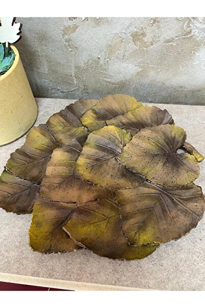 Ankara Hobi YAPRAK TABAK