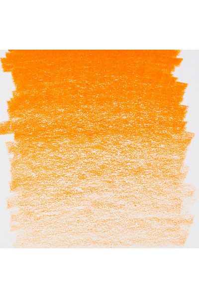 Bruynzeel Orange Design Colored Trousers