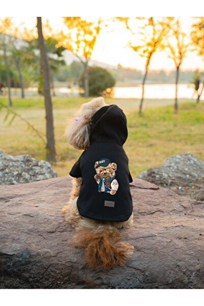 Buddy Store Kedi & Köpek Kıyafeti Elbiseleri Kıyafetleri Sweat - Enjoy Ayı Ba...