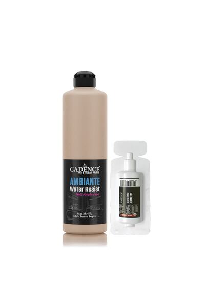 Cadence Ambiante Suya Dayanıklı Akrilik Boya Aw-16 Karton 500ml + Katalizör 20gr