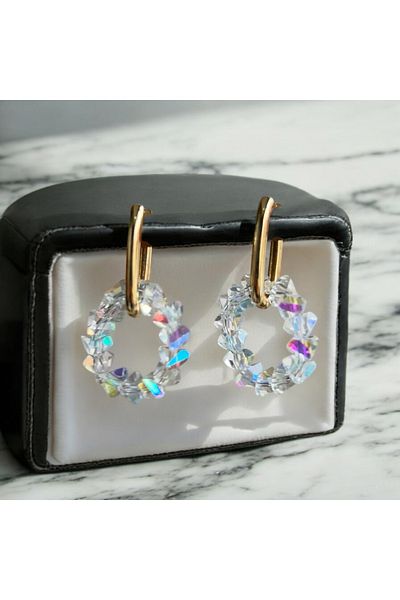 AURA GARDEN Crystal Steel Earrings