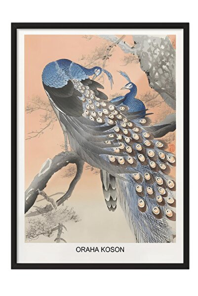 Postifull Tablou cu ramă neagră, Ohara Koson - Two Peacocks Tree Branch Comfort Seria NR:108713