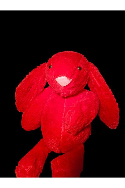 Aynaz Ticaret İTHAL PELÜŞ UYKU DOSTUM TAVŞANCIK