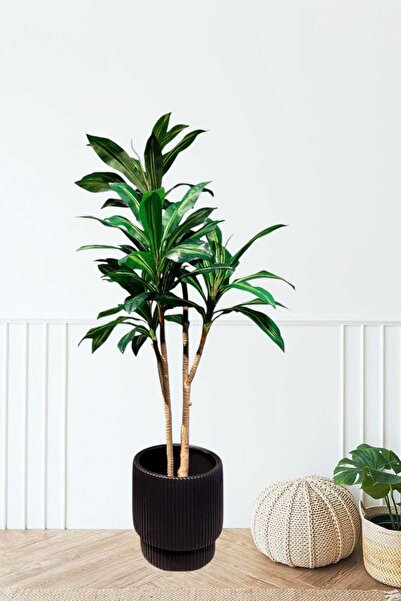 MAKİ DEKOR YAPAY AĞAÇ SAKSILI YUCCA AĞACI 180CM