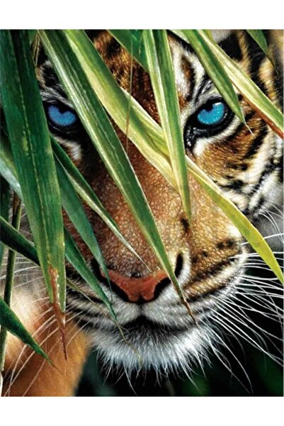 pixartsanat Mavi Gözlü Kaplan 45x60 PixArt Sanat Elmas Mozaik Tablo Diamond T...