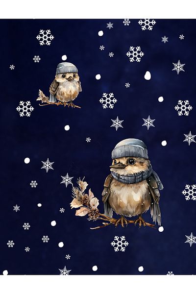 AlyMarkt 2025 Cute Christmas Birds and Snowflakes Sticker Set 100% Double Sided - New Year's Decoration