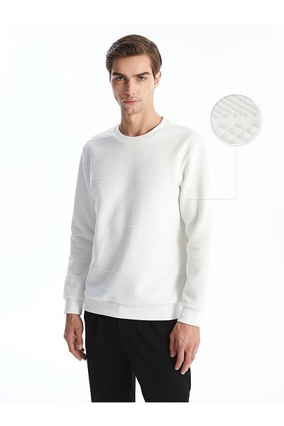 LC Waikiki Crew Neck Long Sleeve Men's Sweatshirt