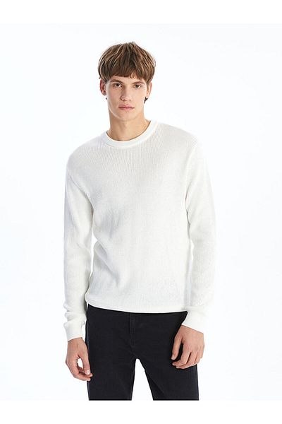 LC Waikiki Crew Neck Long Sleeve Men's Knitwear Sweater