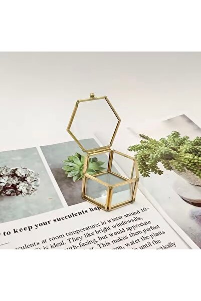 LAYLAEVENTS Cam Metal Altıgen yüzük ve takı kutusu 2 li set