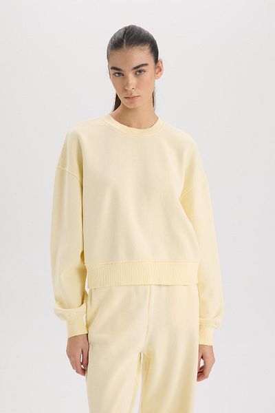 DeFacto Boxy Fit Basic Plain Thick Sweatshirt mit Rundhalsausschnitt E4732AX24CW