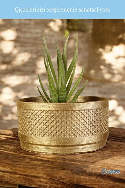 Evene Saksı Dekoratif Saksı Kaktüs Saksısı Sukulent Saksısı Küçük Saksı Model 46 Altın Saksı