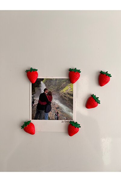 Louve Store 6’lı Mini Çilek Buzdolabı Magneti , Magnet , Mıknatıslı Fotoğraf ...