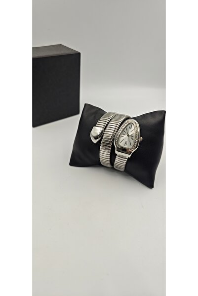 Bayantrendy Snake Model Clock