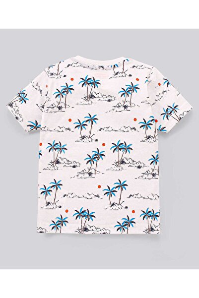 Babyhug Cotton Half Sleeves T-Shirt Stripes & Pine Tree Print Pack of 3 - Yellow White