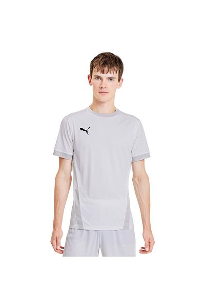 Puma Tričko Puma Teamgoal 23 Jersey, šedá, pánské