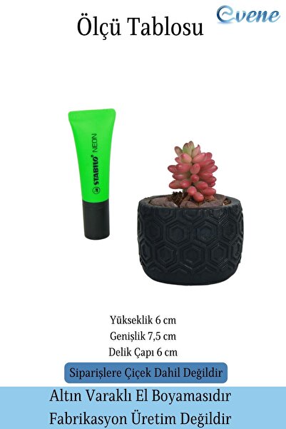 Evene Saksı Dekoratif Saksı Kaktüs Saksısı Sukulent Saksısı Küçük Saksı Model 2 Siyah Saksı