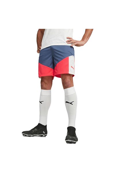 Puma Pantaloni scurți Puma Individualcup - Multicolor, Bărbați