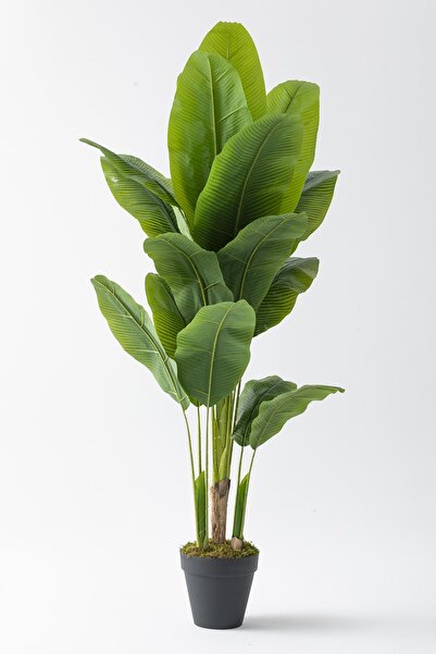 Güleç Yapay Çiçek Yapay Muz Ağacı 180 Cm 17 Dal