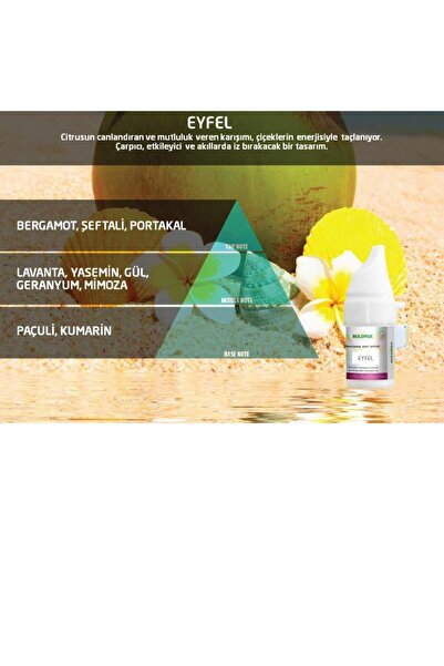 Rulopak Eyfel Koku Kartuşu 100 ml (M5-M6)