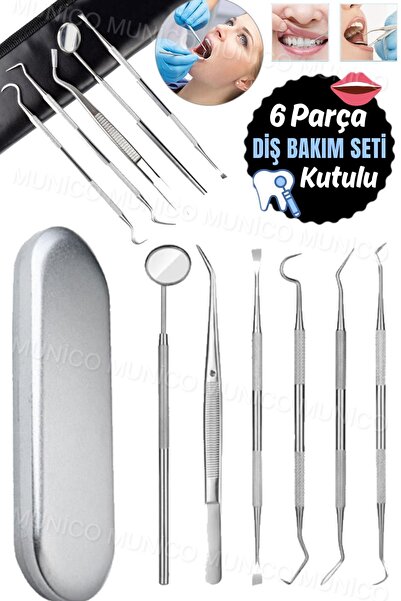 6 Parça Paslanmaz Diş Alet Seti Diş Hekimi Diş Temiz Hijyen Seçtikleri Ayna Kiti Kutulu Ağız Bakımı