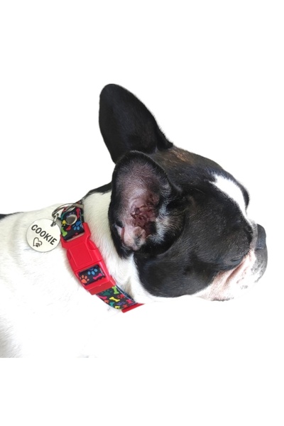 Ayz Aksesuar Isimli köpek tasması, yavru ve küçük ırklar için köpek tasması,köpek künyesi,köpek isimlik