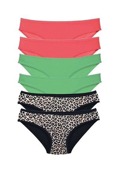 AC BOX 6 Pieces Lycra Women's Slip Panties Leopard Fuchsia Green