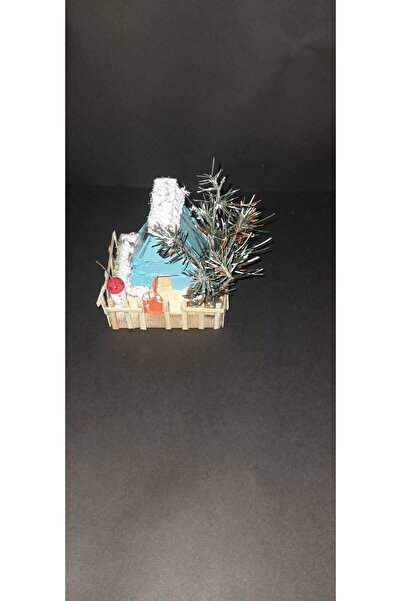 Güncü home Kış hobi evi