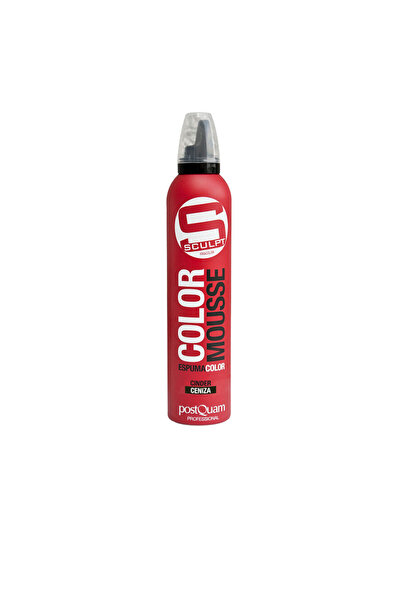 PostQuam Sculpt Color Mousse # Asche 300 ml