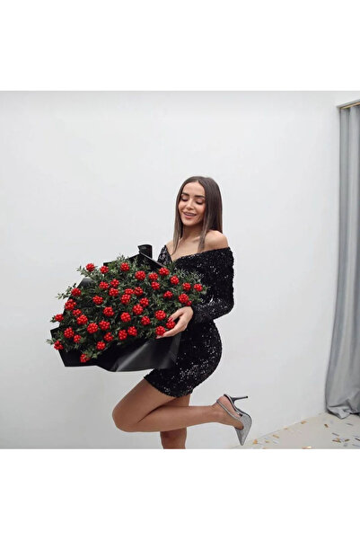 WEBBMODA حفلة رأس السنة مطرزة، فستان سهرة