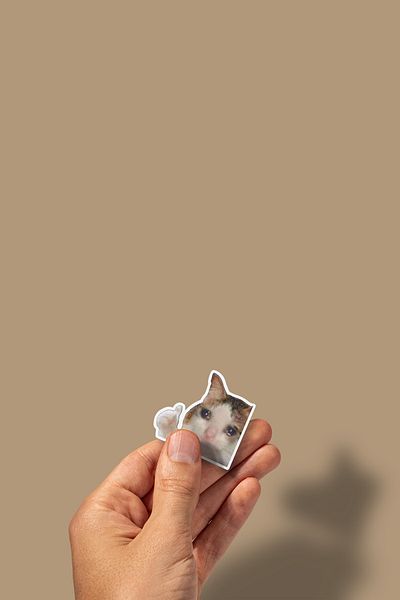 sticker Αστείο μοτίβο γάτας