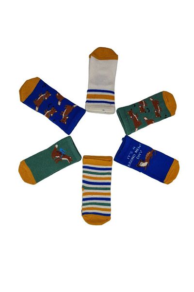 Defne Baby 6 Pairs of Cotton Baby Boy and Child Socks