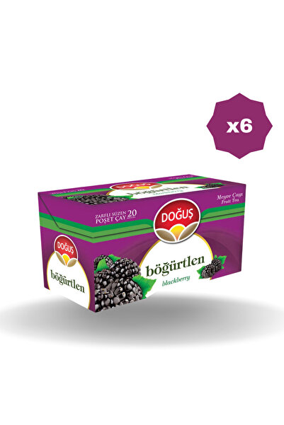 Doğuş Pack of 6 Blackberry Tea - Pack of 20