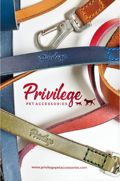 Privilege طوق كلب من الجلد الطبيعي Flotter Xs أزرق داكن 2.5x29-37 سم